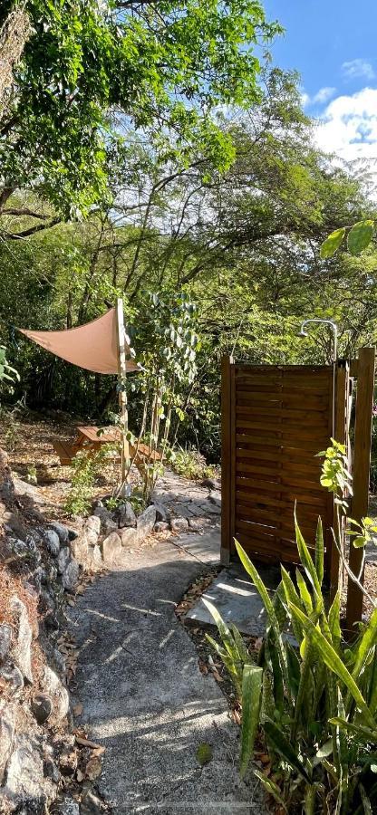 Location Gite Bungalow A 70M De La Plage ブイヤント エクステリア 写真
