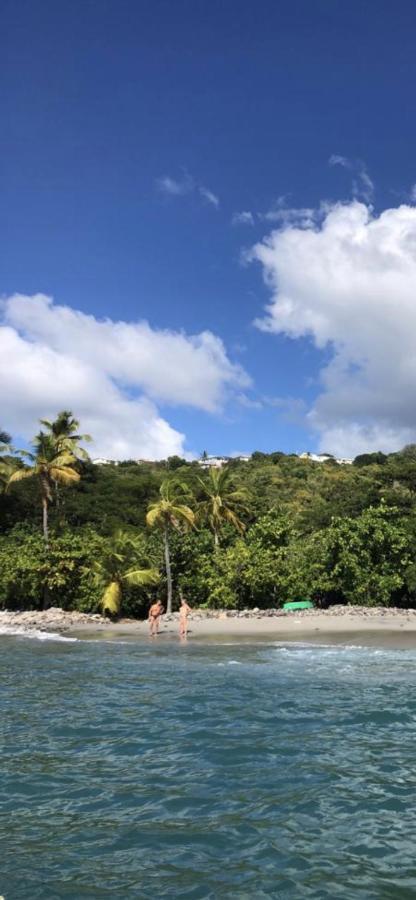 Location Gite Bungalow A 70M De La Plage ブイヤント エクステリア 写真