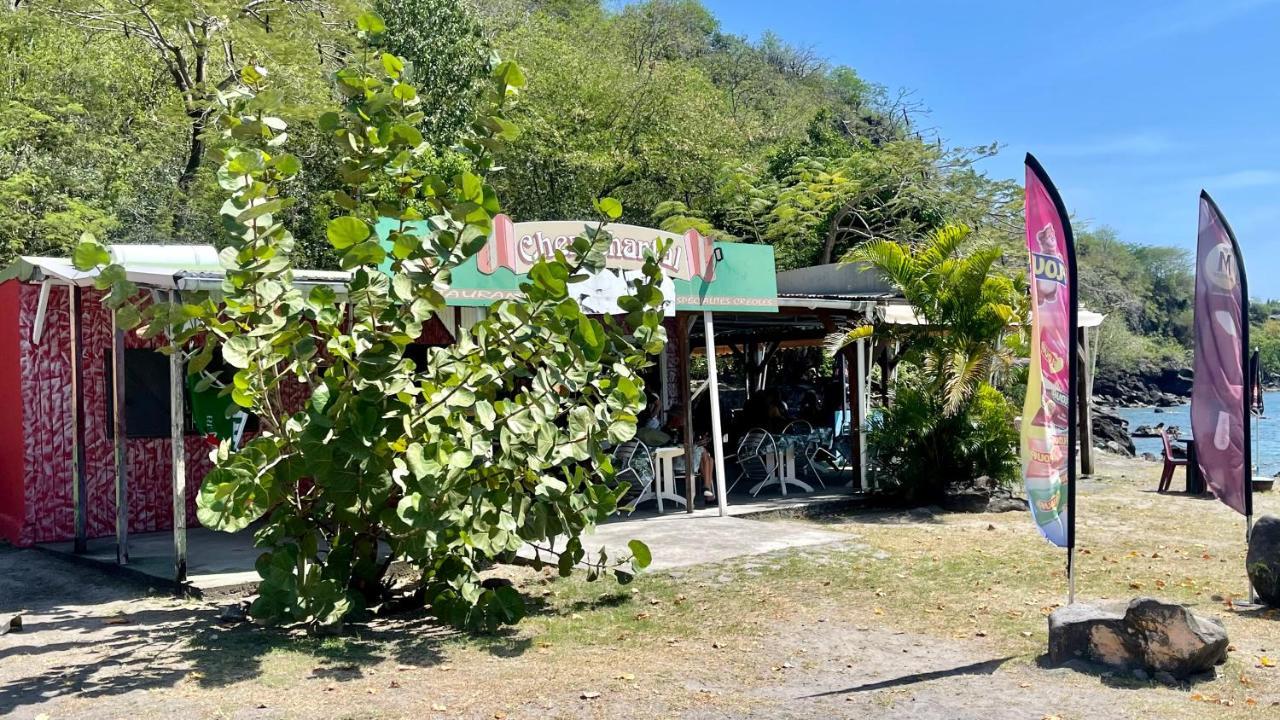 Location Gite Bungalow A 70M De La Plage ブイヤント エクステリア 写真