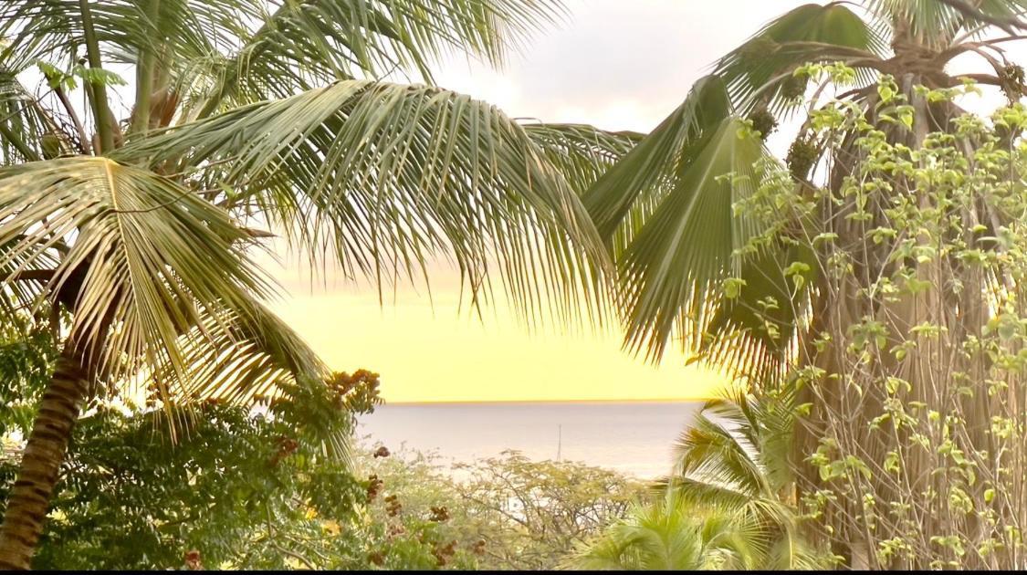 Location Gite Bungalow A 70M De La Plage ブイヤント エクステリア 写真