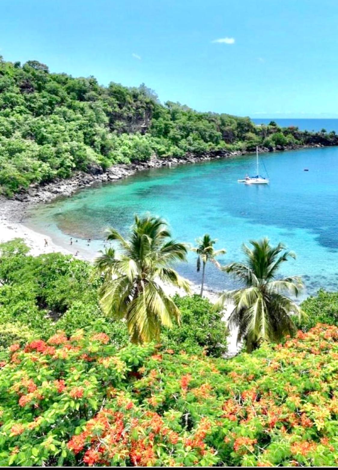 Location Gite Bungalow A 70M De La Plage ブイヤント エクステリア 写真